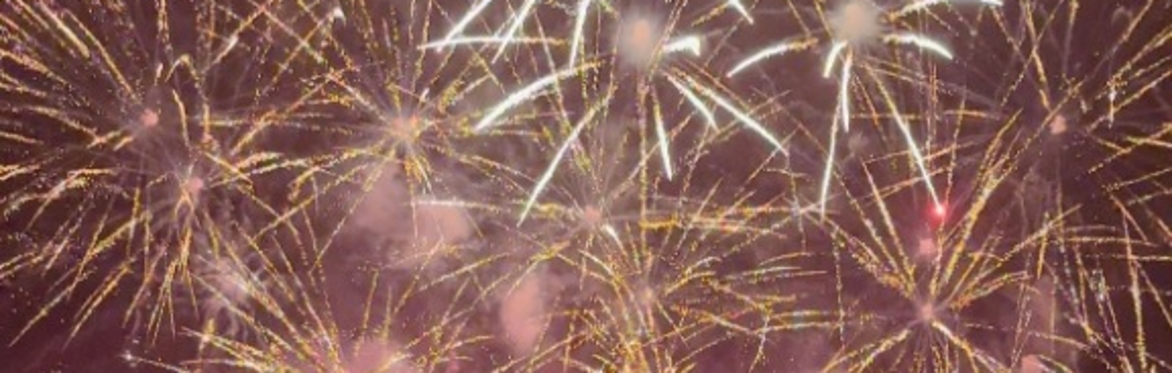 Bonfire Night at West Dean
