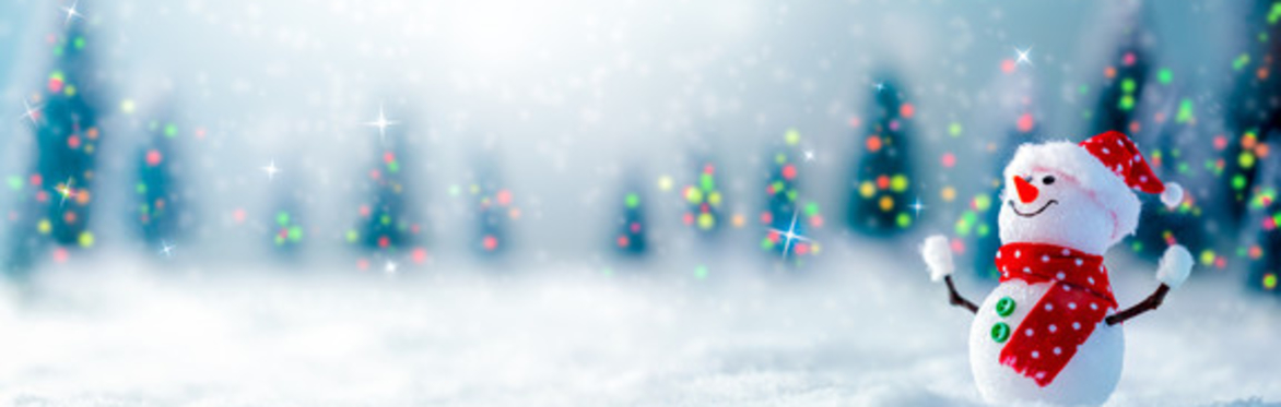 Santa's Grotto