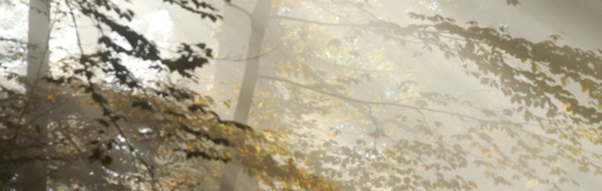 Passing Through