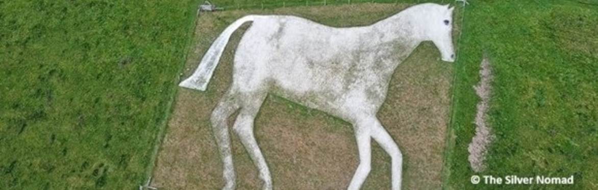 white horse figure on hillside