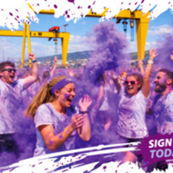 NI hospice Purple Dash