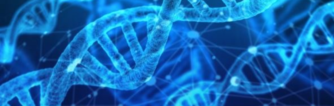 Image of DNA strand