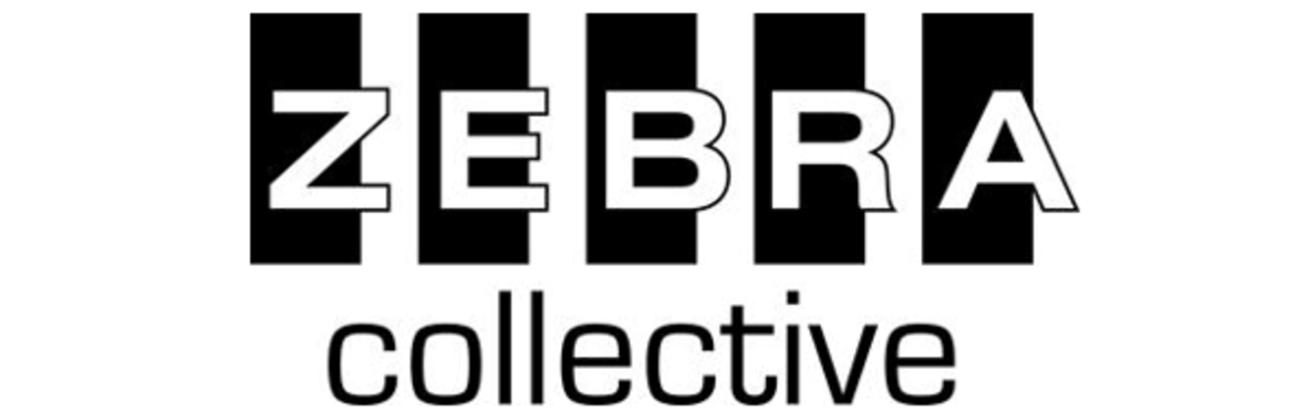 PTMF with Dr Lucy Johnstone & Zebra Collective