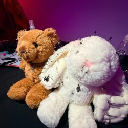 Pierced Stuffed Animals