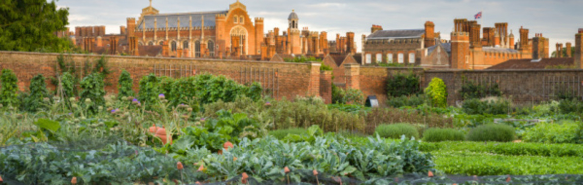 Hampton Court Palace Gardens - Family Day