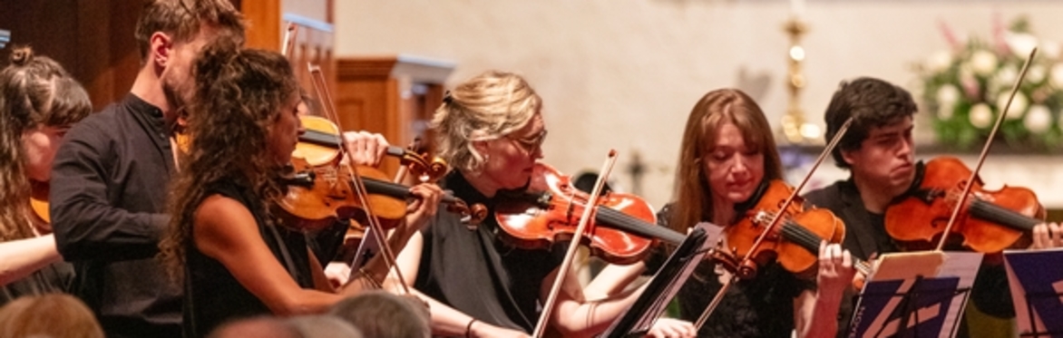Serene Summer Strings