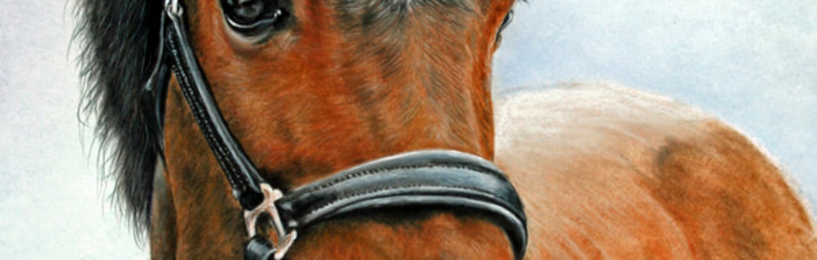 The Art of the Horse Tour & Have a Go Session