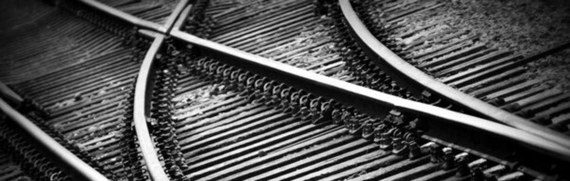 Renewable Resilience: Transitioning through Uncertainty