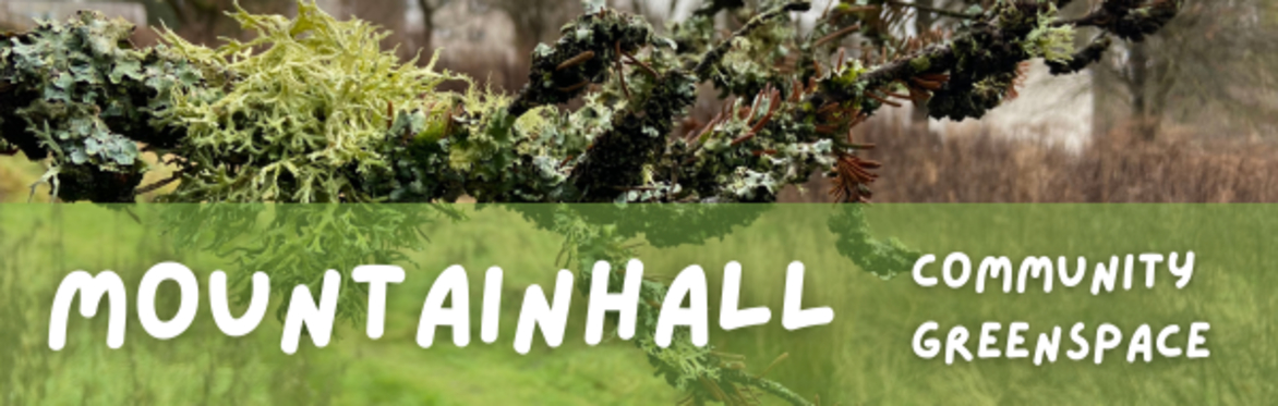 Mountainhall Community Gathering