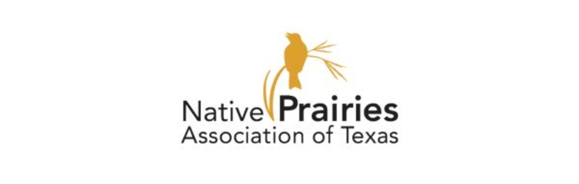Bird Walk at Dowell Ranch