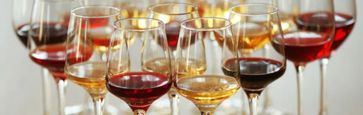 2024 Burgundy Mega-Tasting
