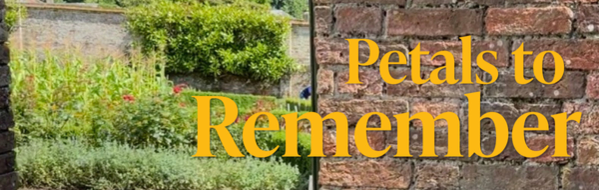 Petals to Remember at The Lost Gardens of Heligan