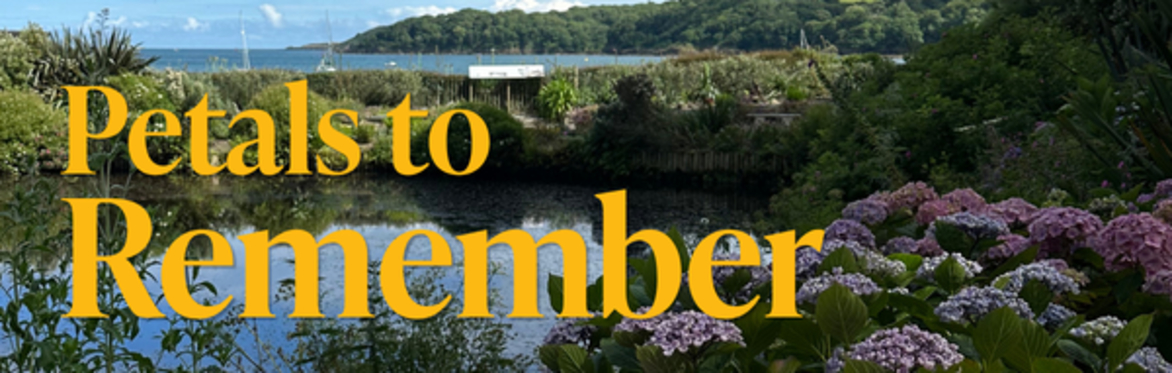 Petals to Remember at Trebah Gardens