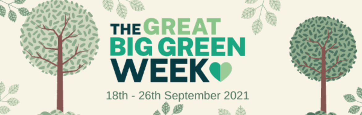 Frome's Great Big Green Week 2021
