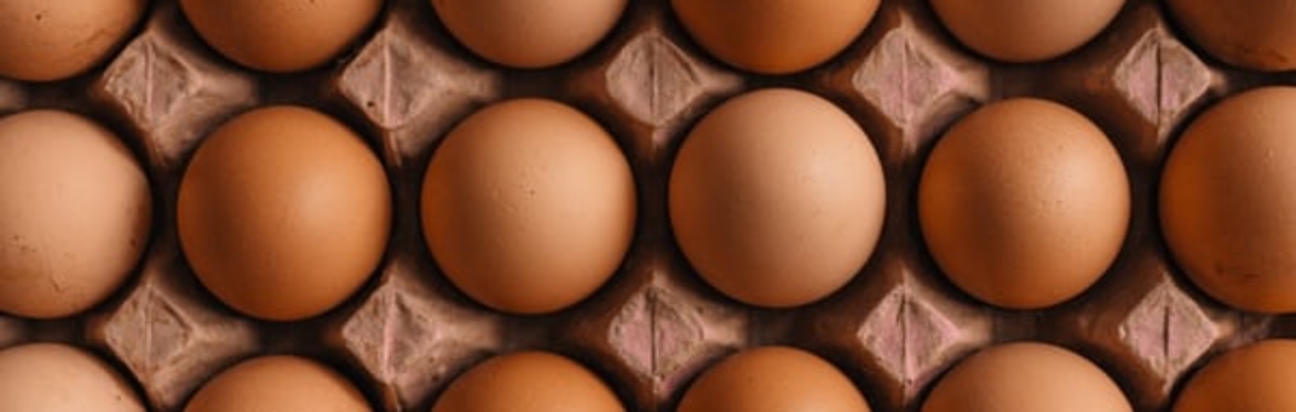 Fielding Eggs