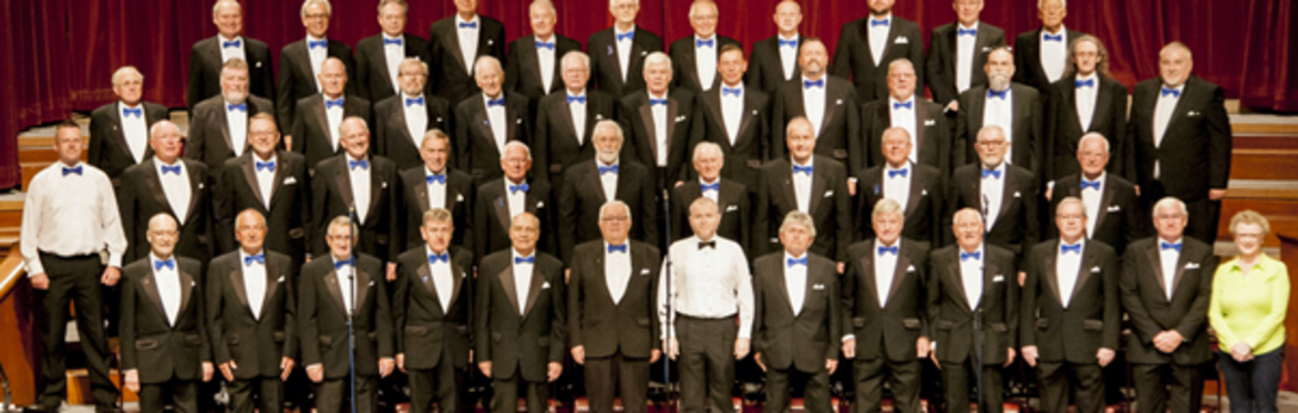 The Gentlemen Songsters