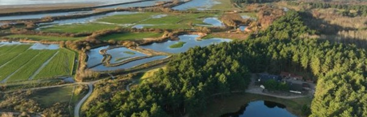 Marquenterre Nature Reserve, France : Day trip