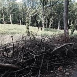 Training on Deadhedging