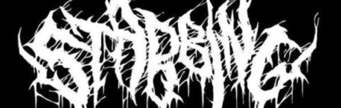 Raven Mayhem Festival Day 3 w/ Stabbing + Throat Piss + TORTURES + More