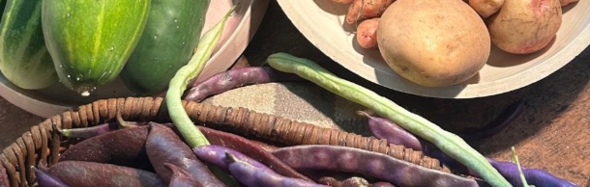 HARVEST at Wainsgate: The Harvest Supper