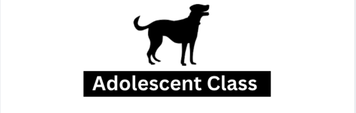 Adolescent Class start date Sunday 28th June 2026 - 10:45AM-11:30AM - WSM- Paws and Play Dog Day Care