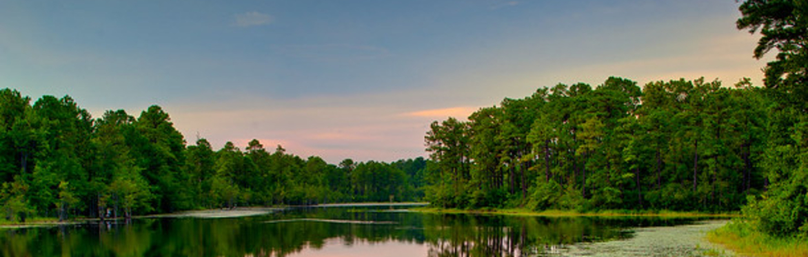 Camp Coker BBQ