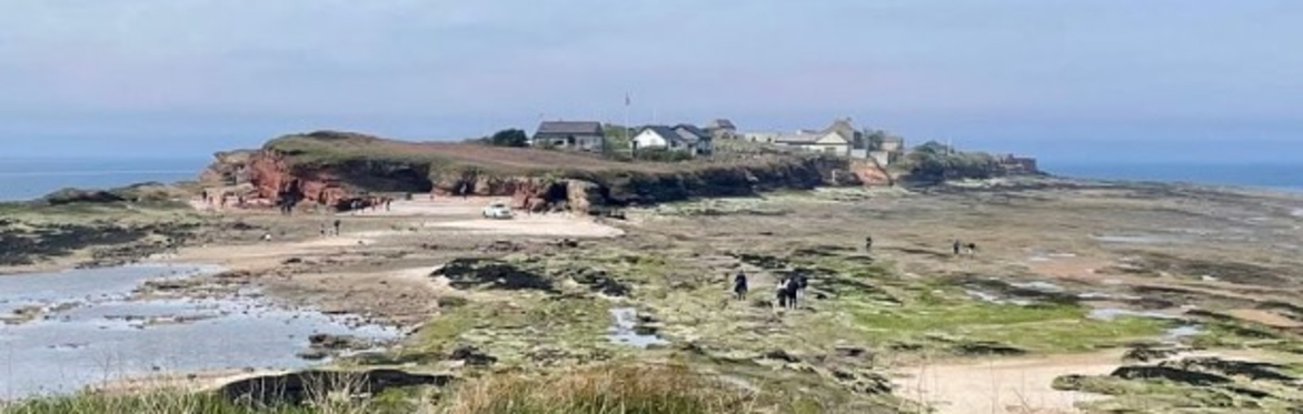 Walk & Talk: Hilbre Island
