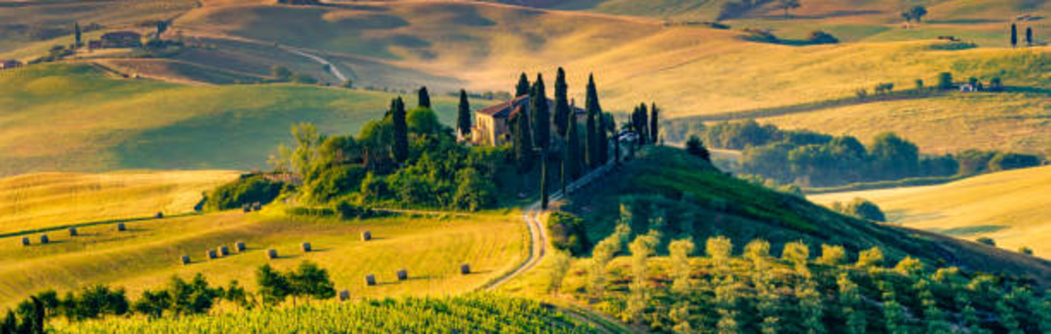 Fall 26 - Tuscany Field Trip
