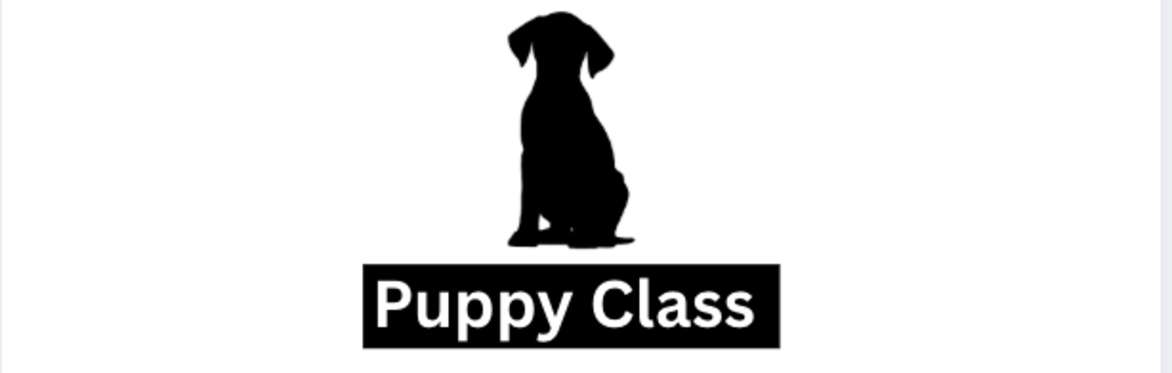Puppy Class start date Sunday 28th June 2026 - 9:30AM-10:15AM - WSM - Paws and Play Dog Day Care