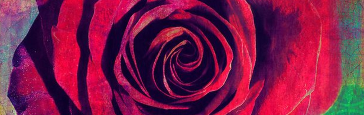Tending the Feminine Heart: A Women's Sangha
