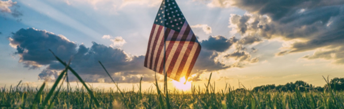 New Illinois: Fourth Constitutional Convention