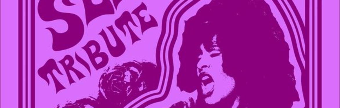 Cinco de Mayo - Selena Tribute