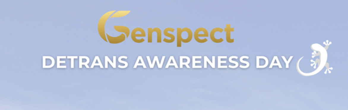 Life Beyond Transition