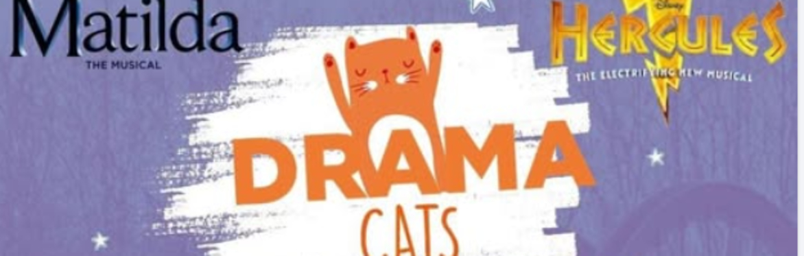 Drama cats