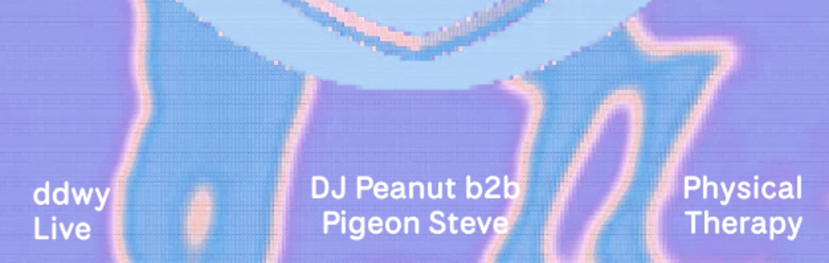 Healthy Vallytimes w Physical Therapy, ddwy (live), DJ Peanut b2b Pigeon Steve