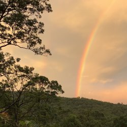 Feminine Flow Forest - Tallebudgera Valley