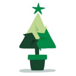 Nottingham Hospitals Charity Christmas Tree Recycling 2026-27