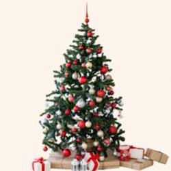 Christmas in July - Planning Session for Small Business Owners