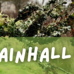 Mountainhall Community Gathering