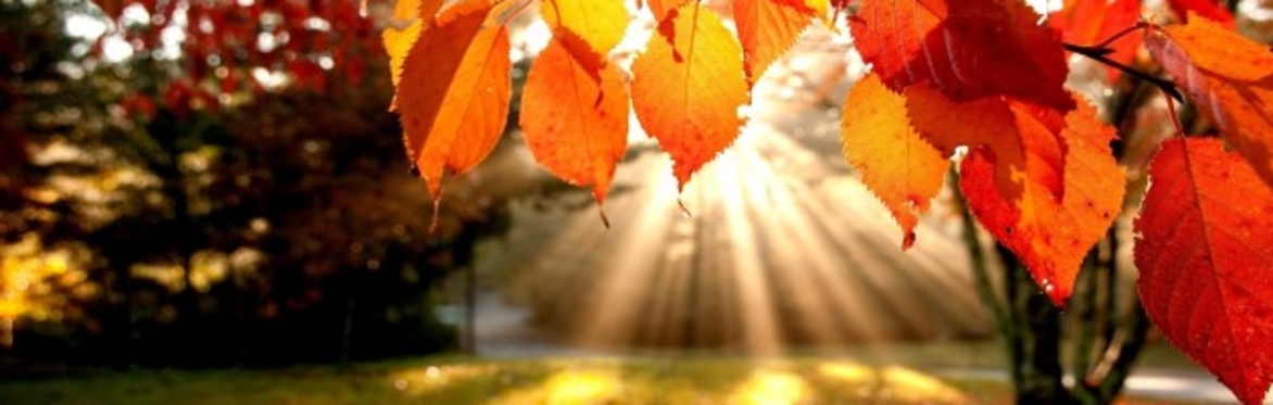 Autumn Harvest Afternoon Retreat with Alexandra Jones & Angie Latham