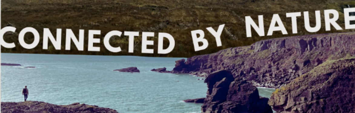 Connected by Nature: A Guided Walk of Foraging, Folklore & Connection to the Land