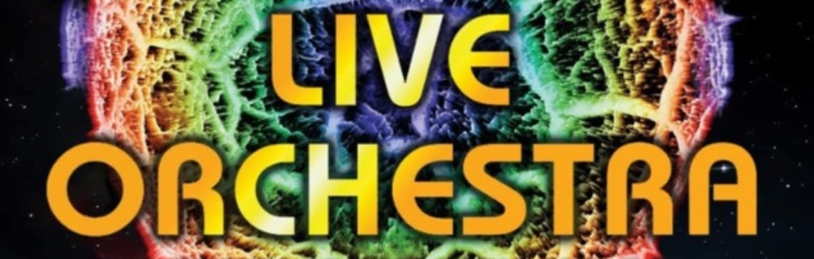 Electrik Live Orchestra (ELO) | Tribute