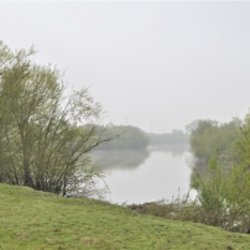 Alney Island Guided Walk