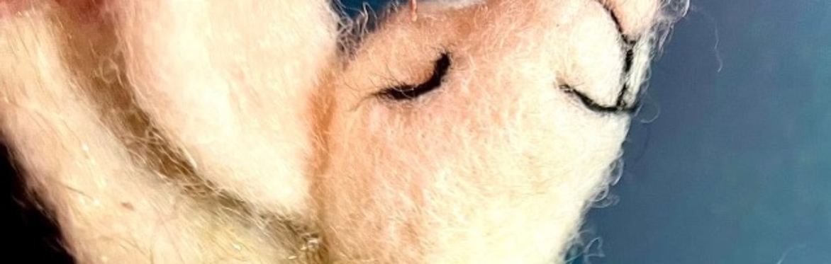 Fiz and Felt a Needle Felted Angel Mouse
