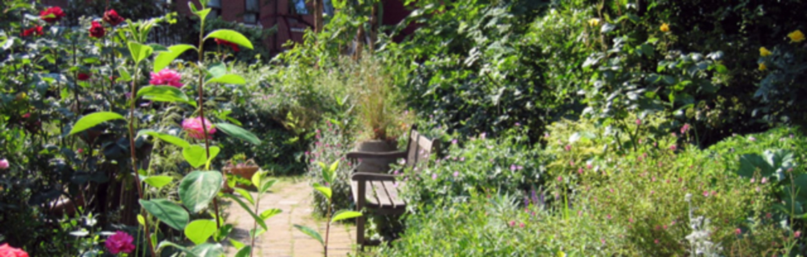 Introduction to Nature for Lawyers