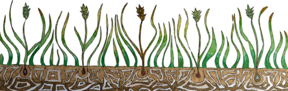 Grass Roots Seminar: Jane Bacon - Dreams