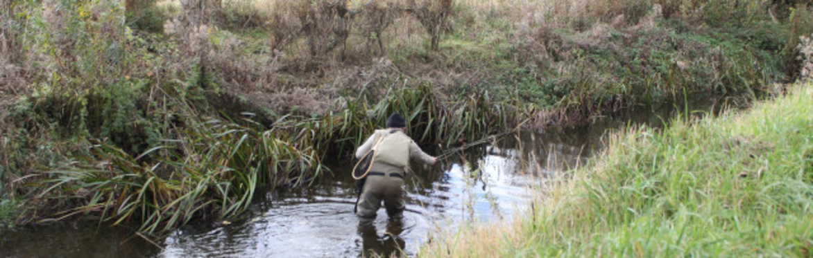 Guest Fishing