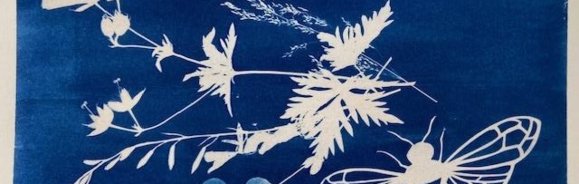 Shadow Craft: Cyanotype & Papercutting
