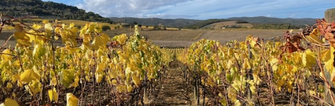 Tuscany wine discovery tour