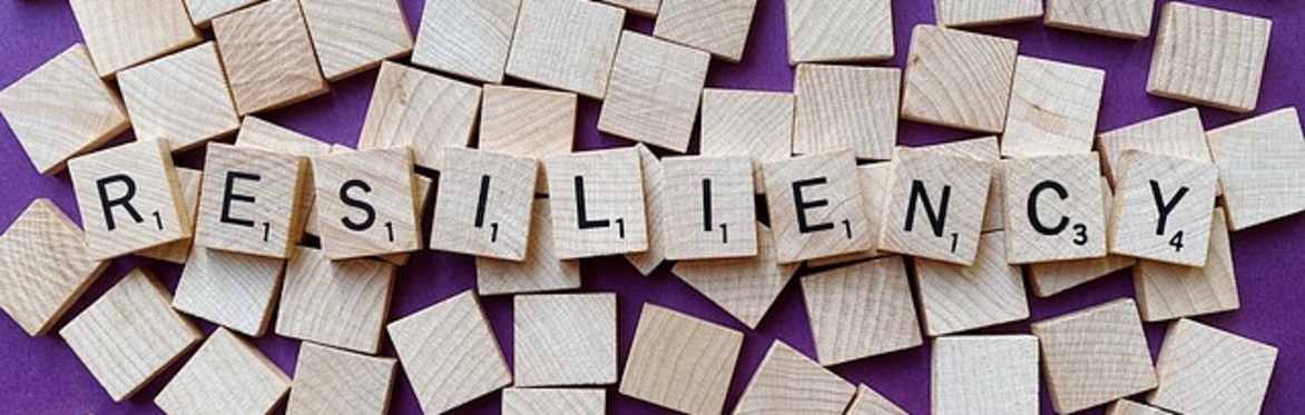 Resilience 101: Mental Fitness, Positive Psychology and the Power of Tiny Habits with Dr Tamra Wright